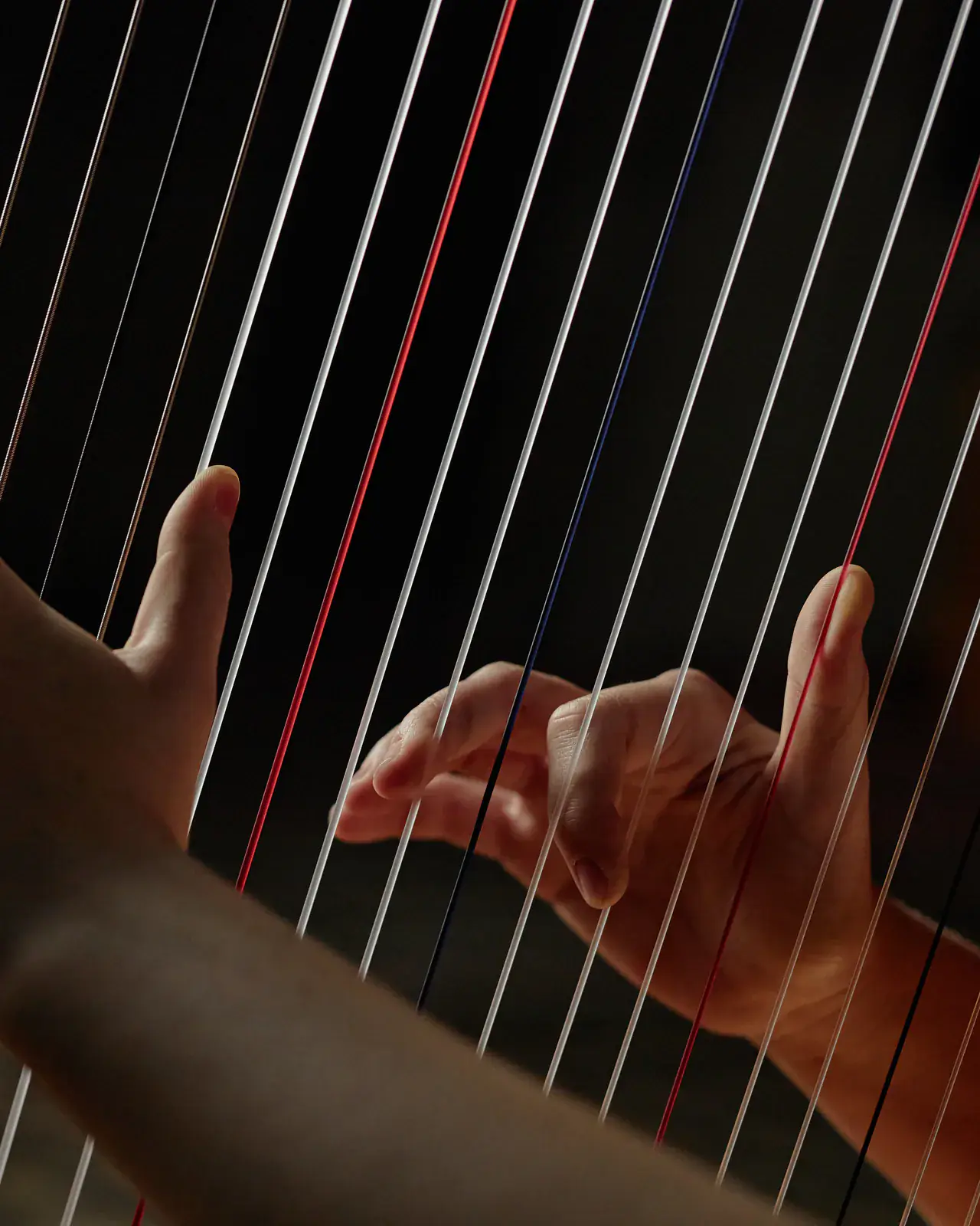 Close-up of harp strings — African instrument lessons (marimba, litungu, orutu) at Concerto Music Place